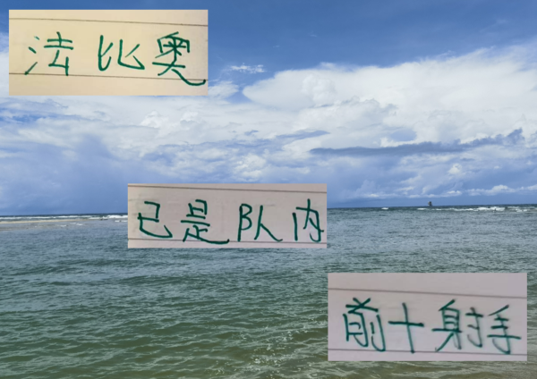 踢着踢着 法比奥得分  数已经是北京国安前10 再进3球就是