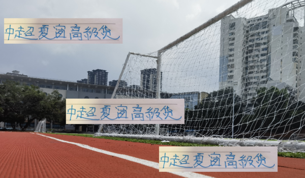 申花阿苏埃 浙江米特里策 深圳韦斯利 都是今年夏窗引进的高级